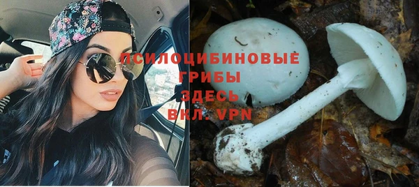 метадон Алзамай
