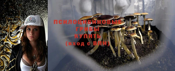 гашиш Алексин