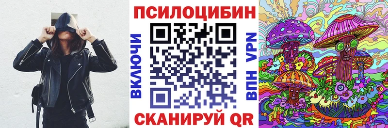 Псилоцибиновые грибы GOLDEN TEACHER  Карачаевск 
